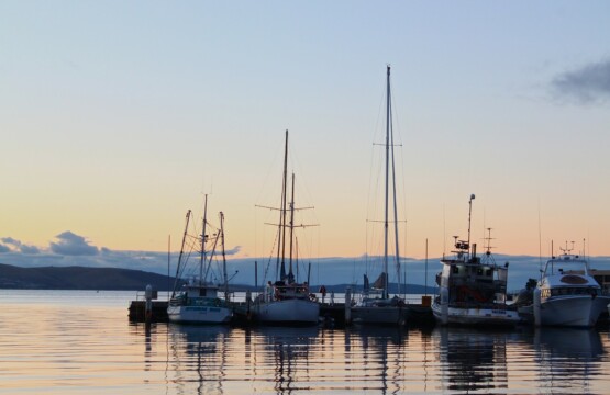 House Sitting in Tasmania