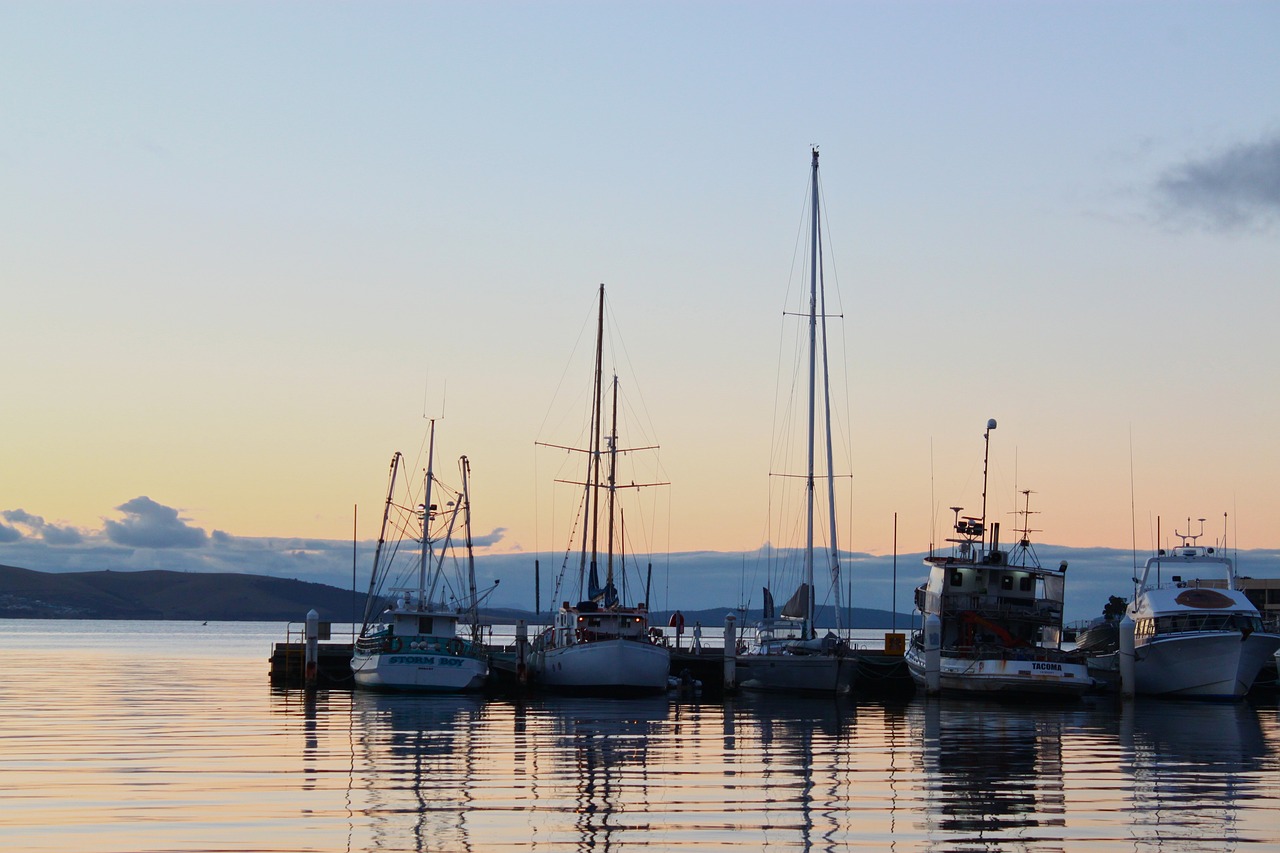 House Sitting in Tasmania 