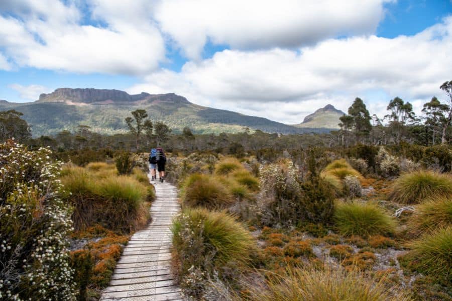 House Sitting in Tasmania